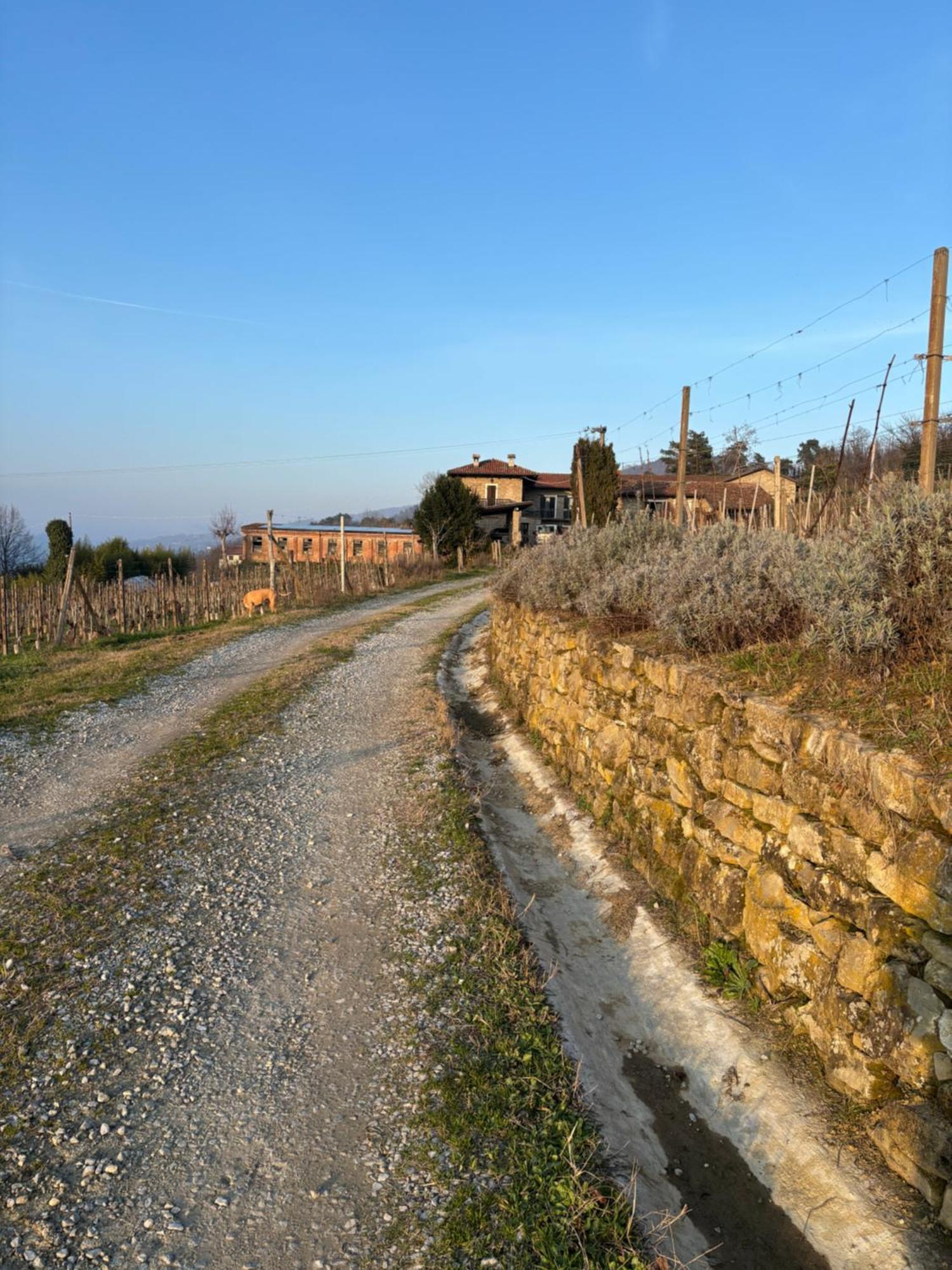 Agriturismo Tenuta San Giuseppe Cossano Belbo 외부 사진