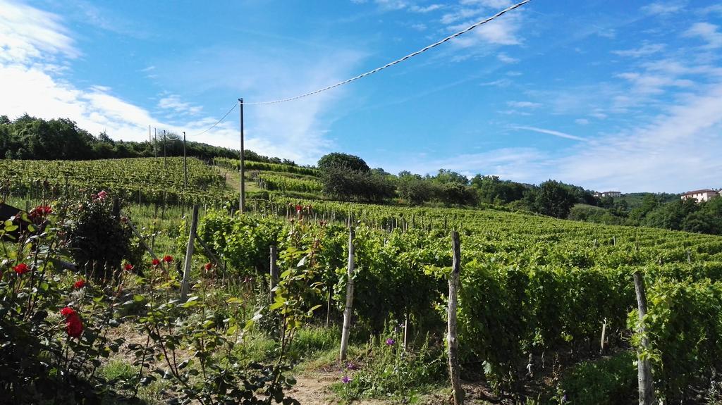 Agriturismo Tenuta San Giuseppe Cossano Belbo 외부 사진